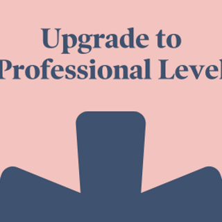 upgrade_to_professional.png