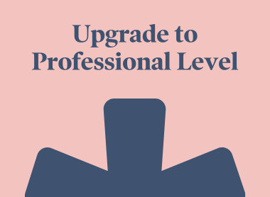 upgrade_to_professional.png