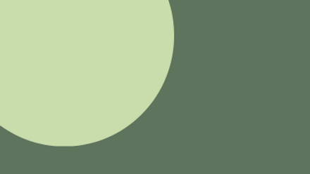 11.png
